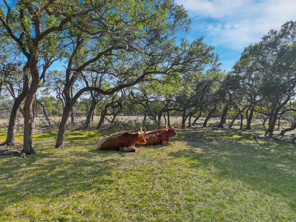 Moe And Jo'S Haus Villa Canyon Lake Exterior photo